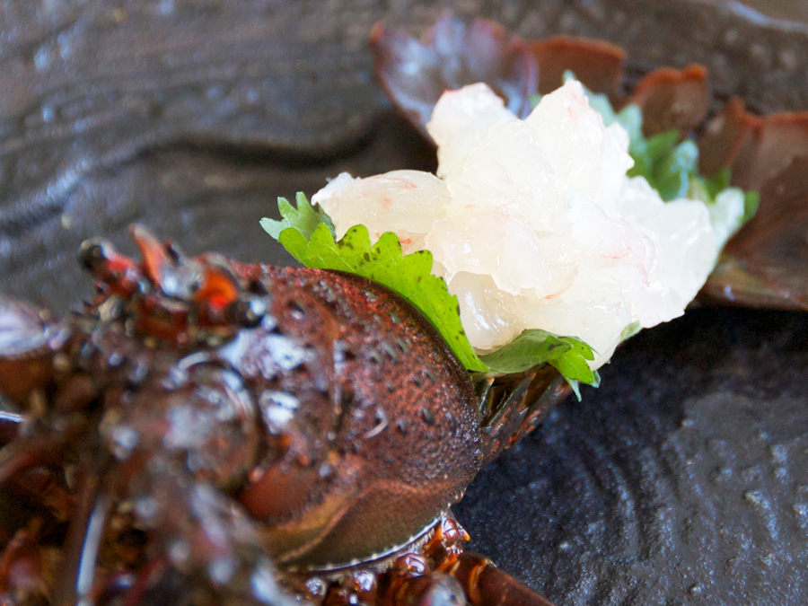 伊勢海老お造り