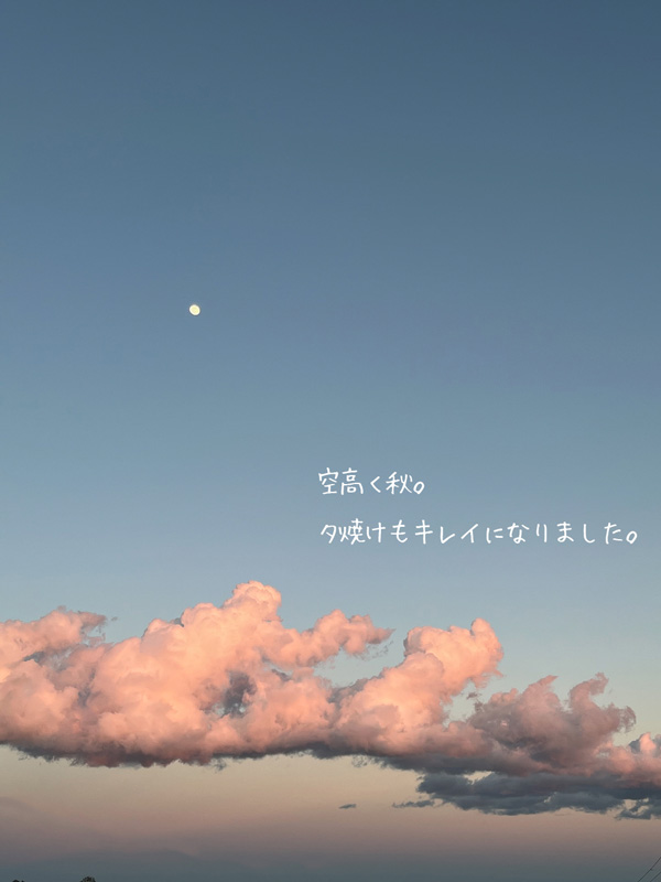 今月のできごとイメージ